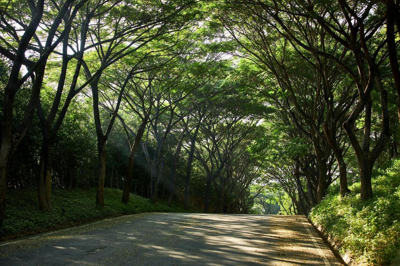 Intercontinental Khao Yai Resort By Ihg Pak Chong Exteriér fotografie